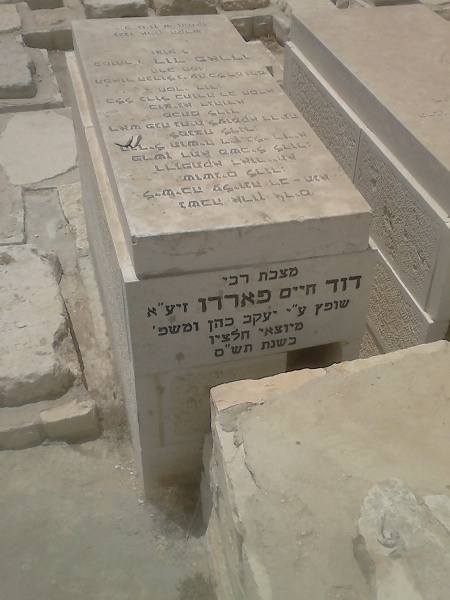 קובץ:Radaf.jpg