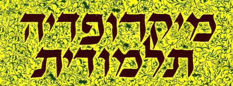 קובץ:EnTalMic.jpg