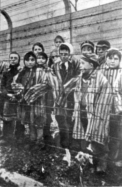 קובץ:Kids in auschwitz.jpg