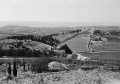 תמונה ממוזערת לגרסה מ־08:12, 25 בספטמבר 2008