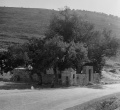 תמונה ממוזערת לגרסה מ־12:39, 2 באוקטובר 2008